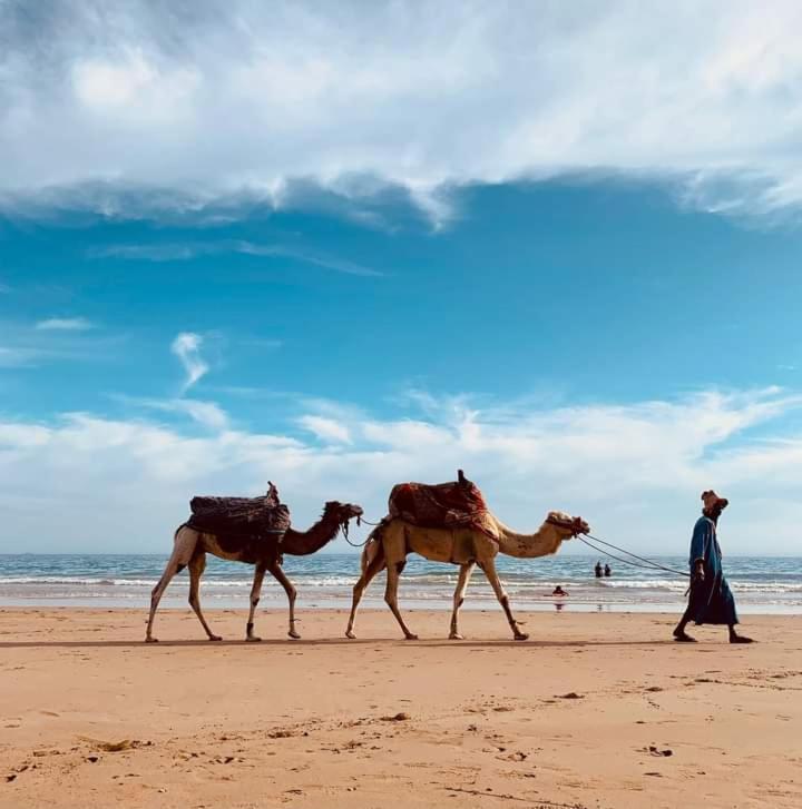 Travel Surf Nature Tamraght Buitenkant foto